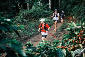 BIB: 
                            <button type="button" onclick="openModal(25834808)" class="btn btn-primary btn-sm float-right btn-popup" data-toggle="modal" data-target=".modal-high-quality">
                        <i class="fas fa-shopping-cart"></i> Add to Cart
                    </button>
                                            <button type="button" onclick="isThisMe(25834808, true)" class="btn btn-success btn-sm float-right btn-popup btn-isme hidden" data-toggle="tooltip" data-placement="bottom" title="นี่คือรูปของคุณใช่ไหม คลิกที่นี่เพื่อเอาเข้าอัลบั้ม">
                        <i class="fas fa-plus"></i> Add to album
                    </button>
                    <button type="button" onclick="isThisMe(25834808, false)" class="btn btn-warning btn-sm float-right btn-popup btn-isnotme hidden">
                        <i class="fas fa-ban"></i> Remove from album
                    </button>